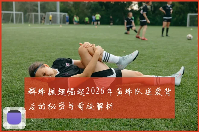群蜂振翅崛起2026年黄蜂队逆袭背后的秘密与奇迹解析