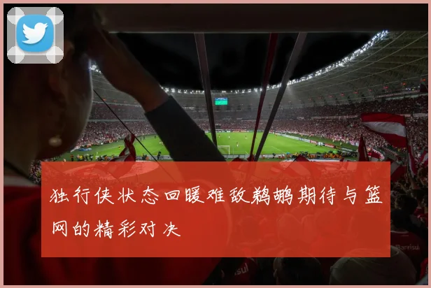 独行侠状态回暖难敌鹈鹕期待与篮网的精彩对决