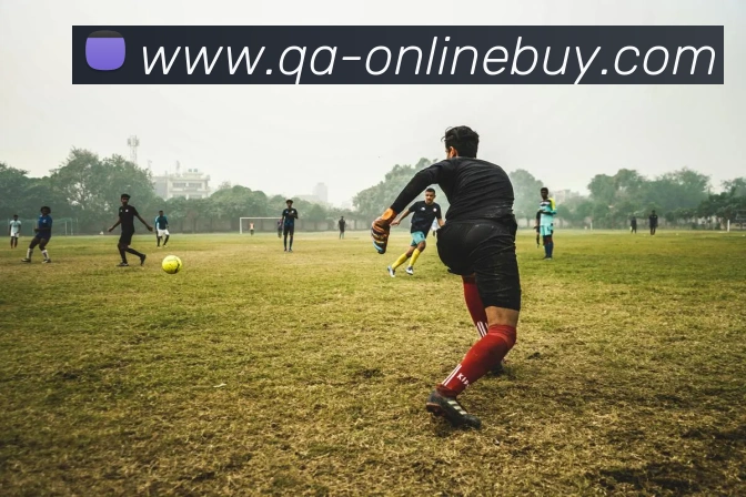 在线买球网站发展历程